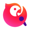 专业极速vpn