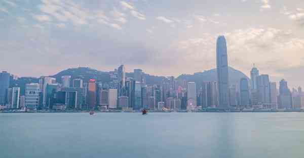 绿叶科学网络工具