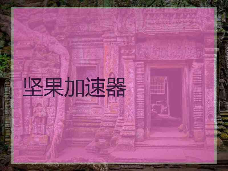 坚果加速器