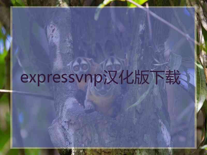 expressvnp汉化版下载