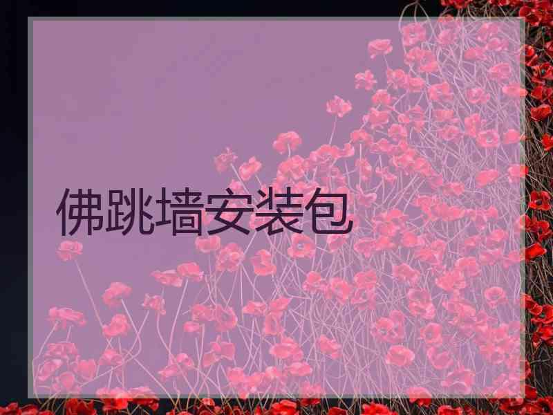 佛跳墙安装包