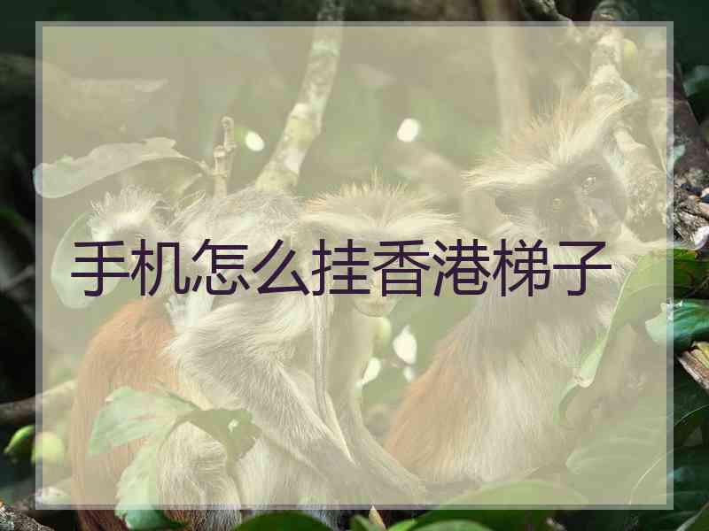 手机怎么挂香港梯子