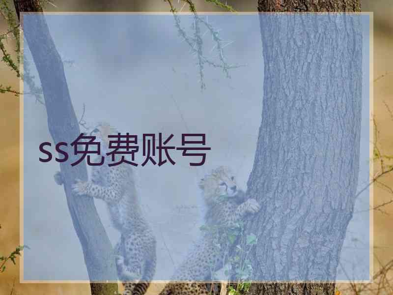 ss免费账号