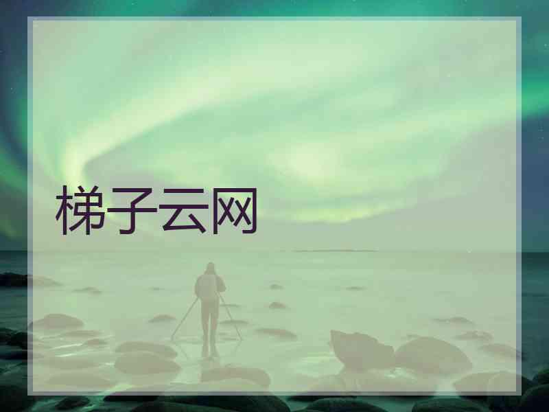 梯子云网