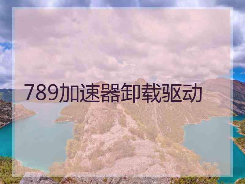 789加速器卸载驱动