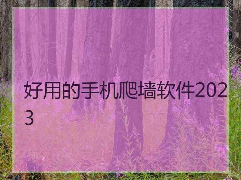 好用的手机爬墙软件2023