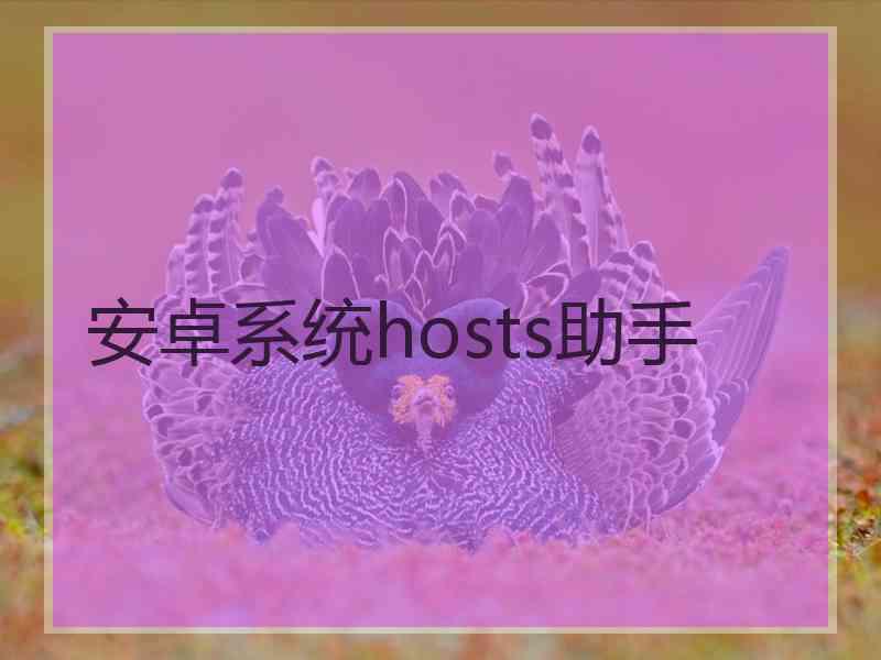 安卓系统hosts助手