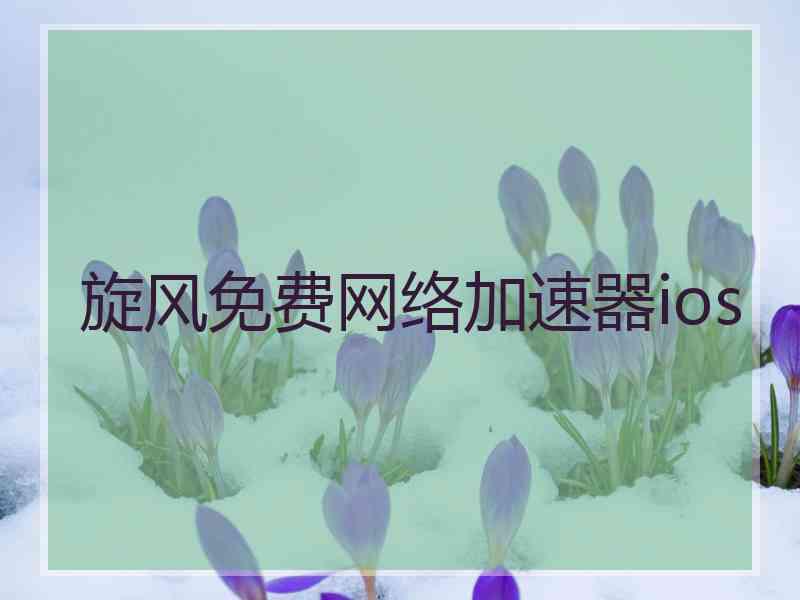 旋风免费网络加速器ios