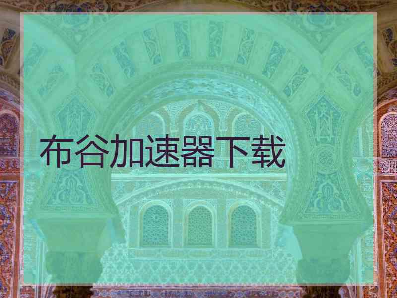 布谷加速器下载
