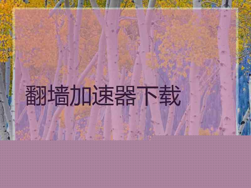 翻墙加速器下载