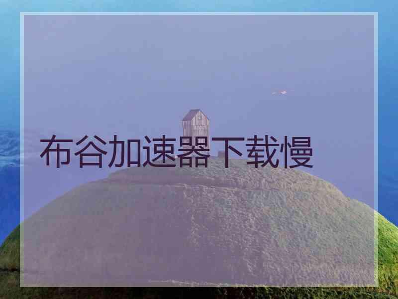 布谷加速器下载慢
