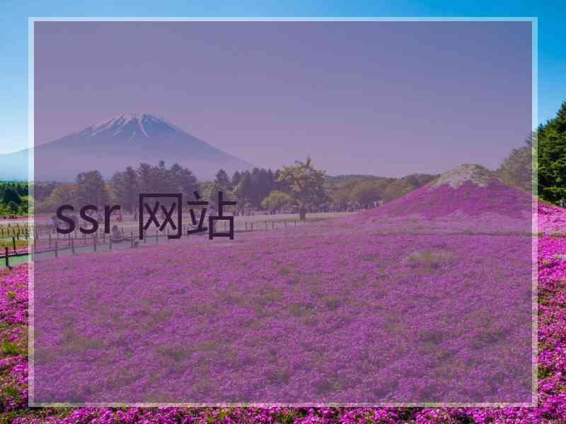ssr 网站