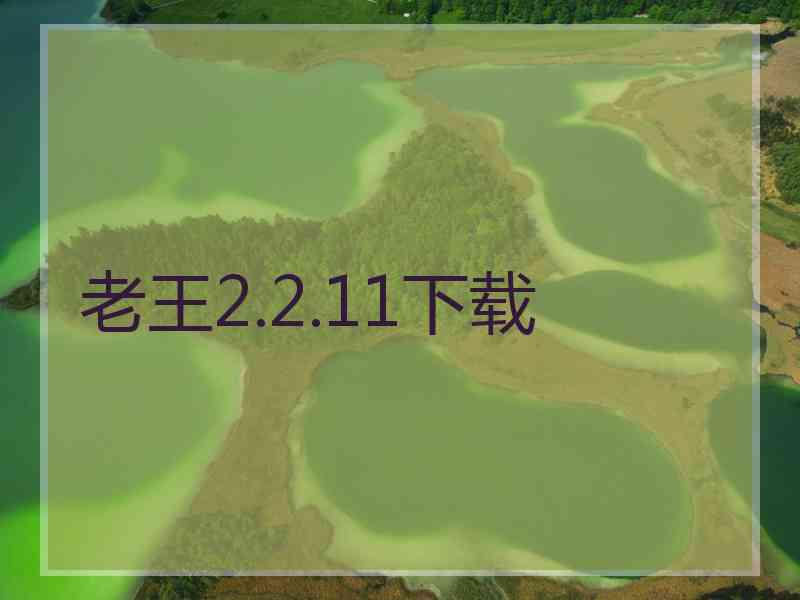 老王2.2.11下载