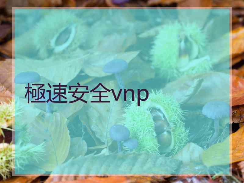 極速安全vnp