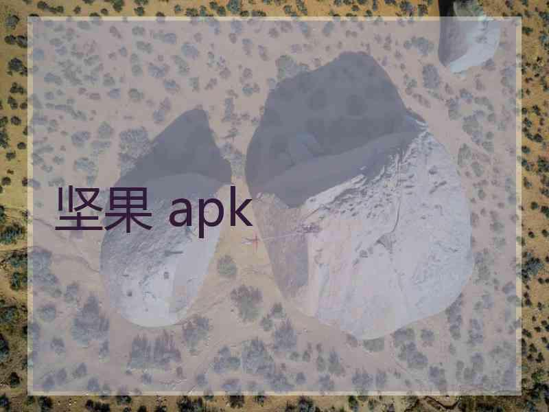 坚果 apk