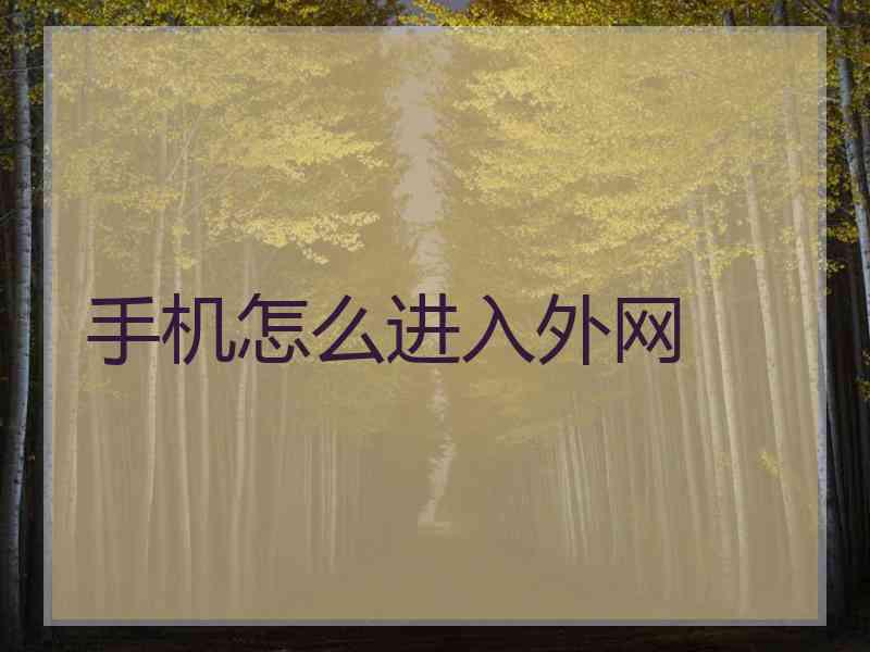 手机怎么进入外网