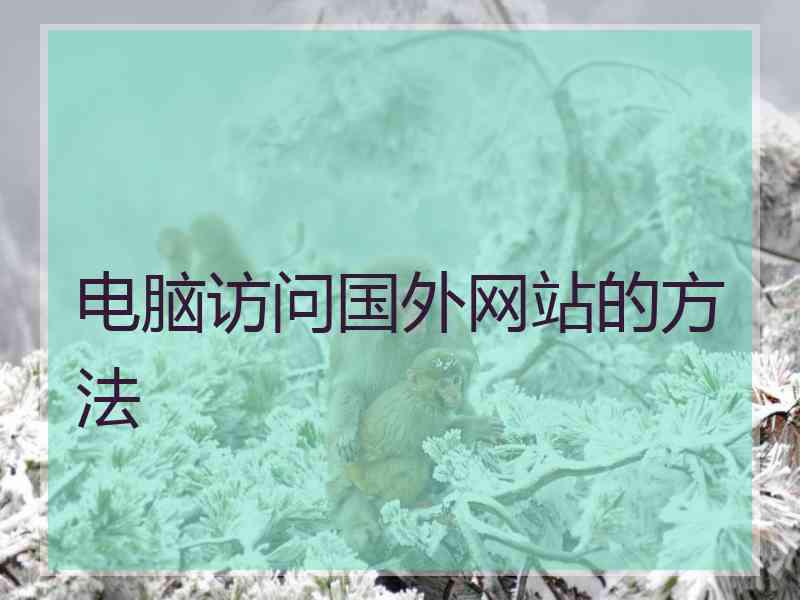 电脑访问国外网站的方法
