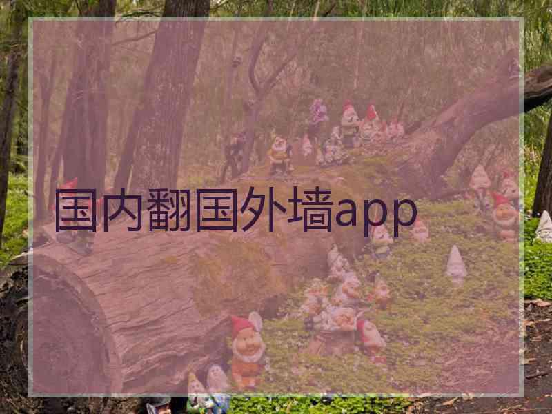 国内翻国外墙app