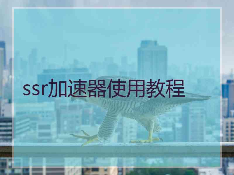 ssr加速器使用教程