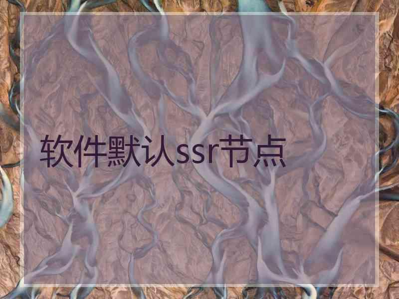 软件默认ssr节点