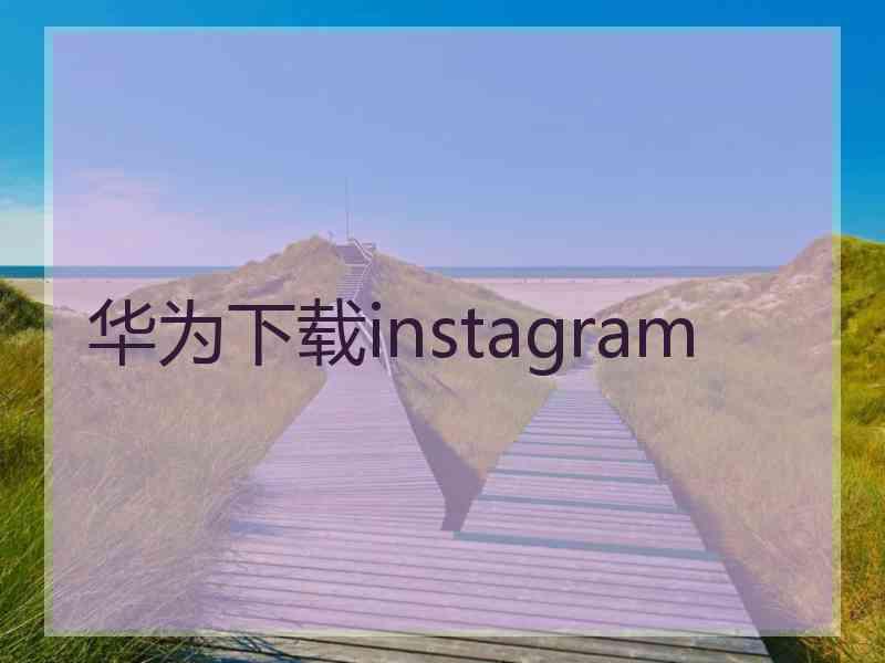 华为下载instagram