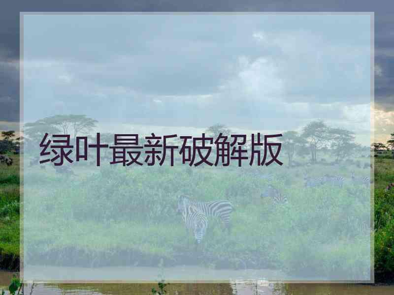 绿叶最新破解版