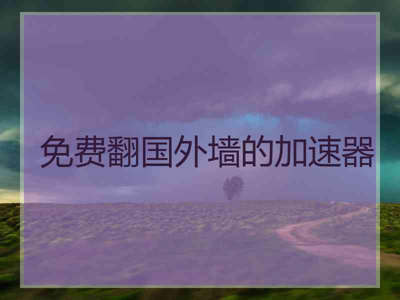 免费翻国外墙的加速器