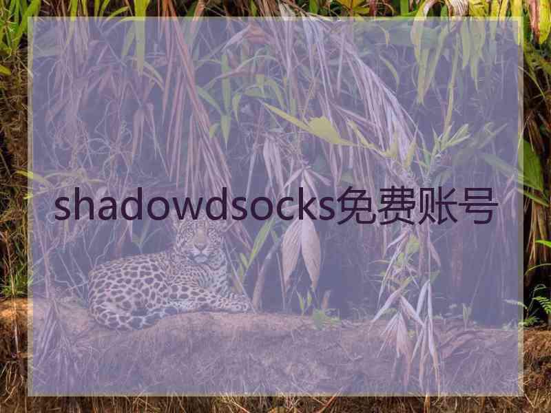 shadowdsocks免费账号