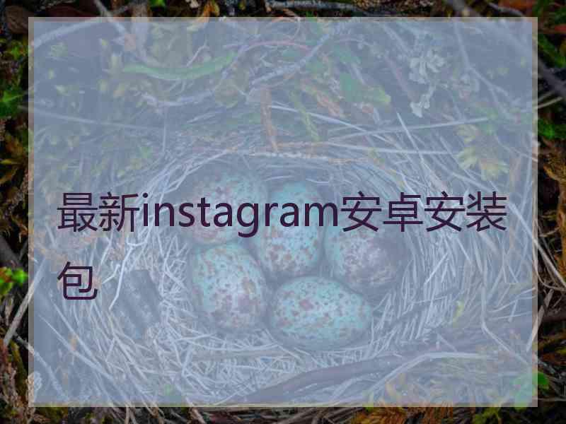 最新instagram安卓安装包
