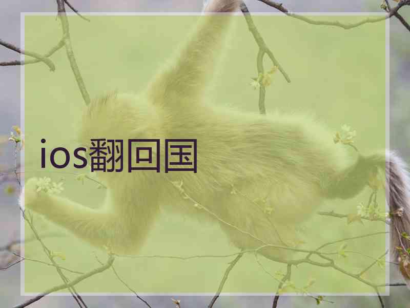 ios翻回国