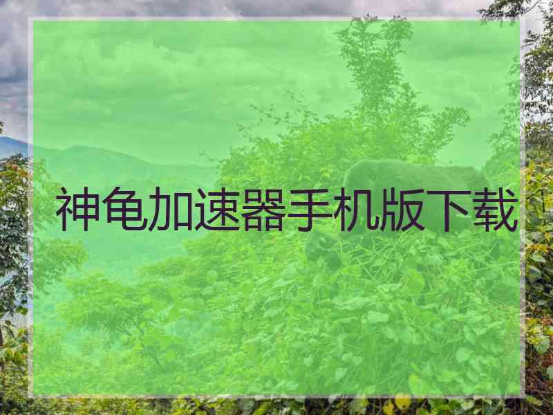 神龟加速器手机版下载