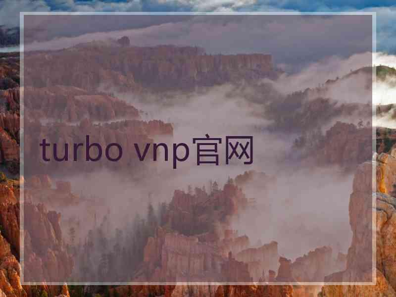 turbo vnp官网