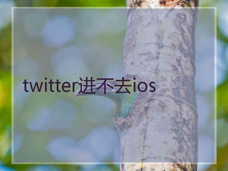 twitter进不去ios