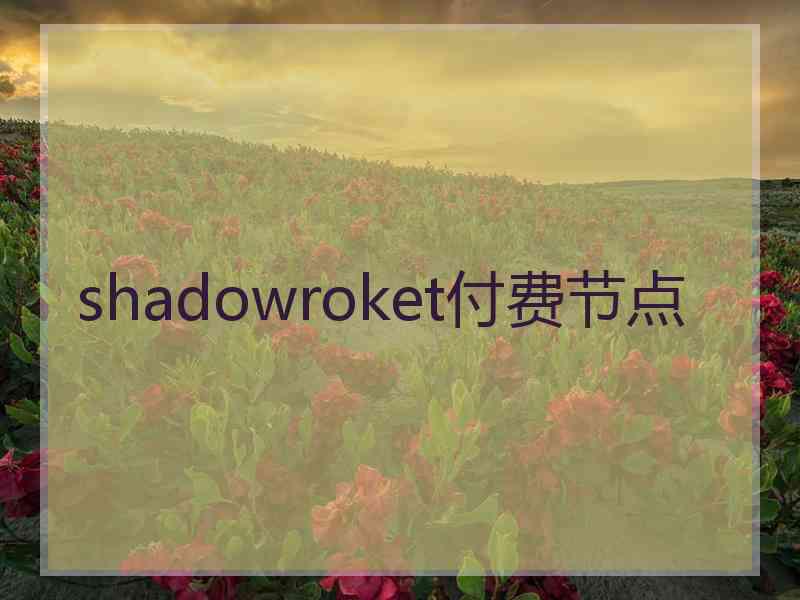shadowroket付费节点