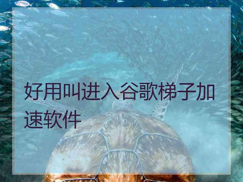 好用叫进入谷歌梯子加速软件