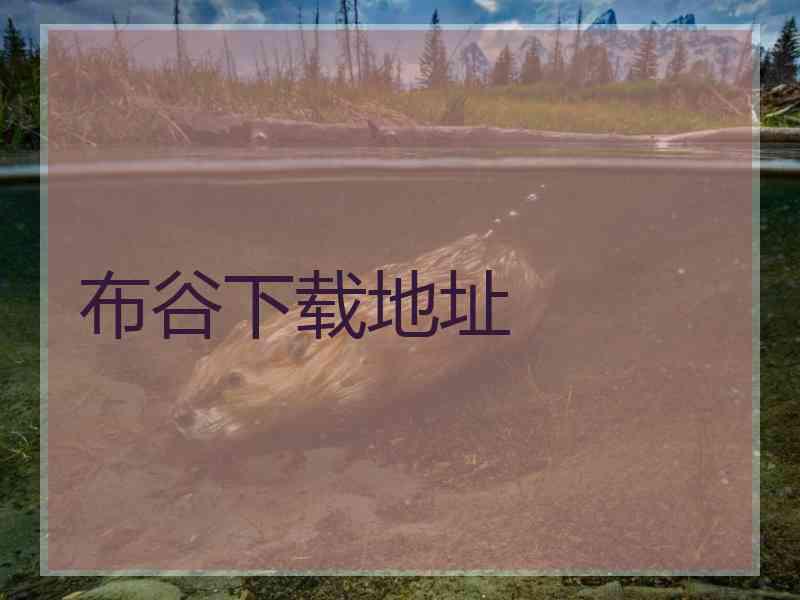 布谷下载地址