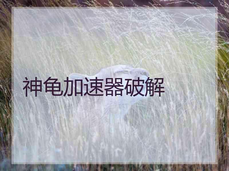 神龟加速器破解