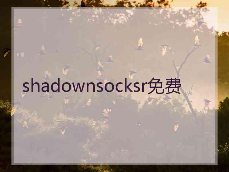 shadownsocksr免费