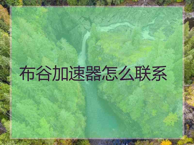 布谷加速器怎么联系