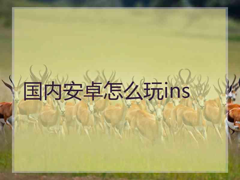 国内安卓怎么玩ins