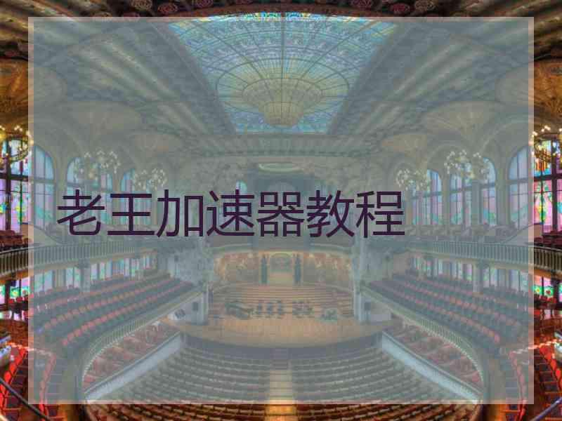 老王加速器教程