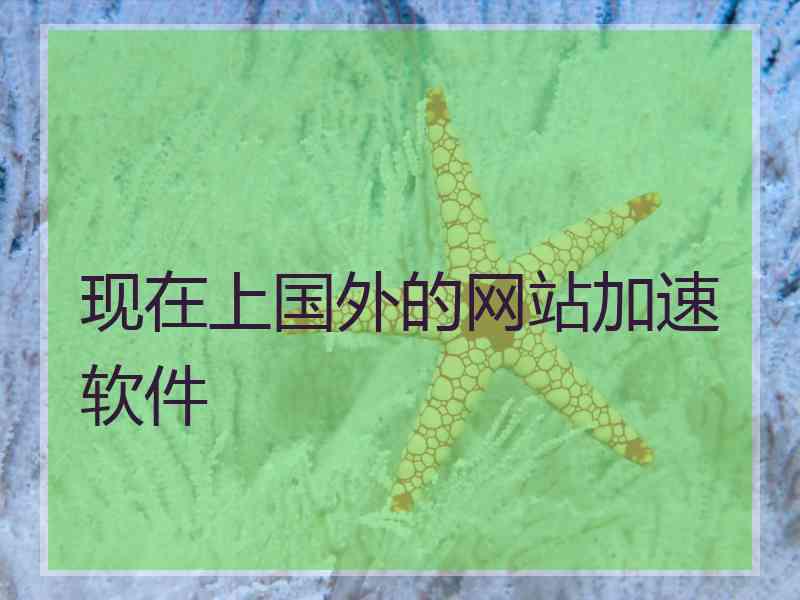 现在上国外的网站加速软件