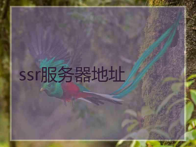 ssr服务器地址