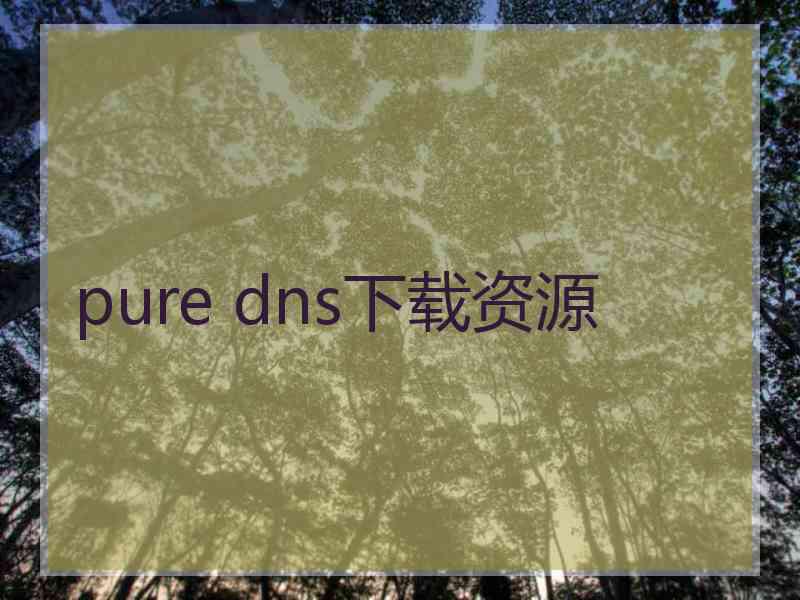 pure dns下载资源