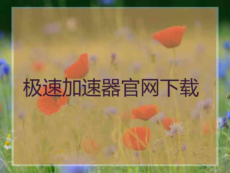 极速加速器官网下载