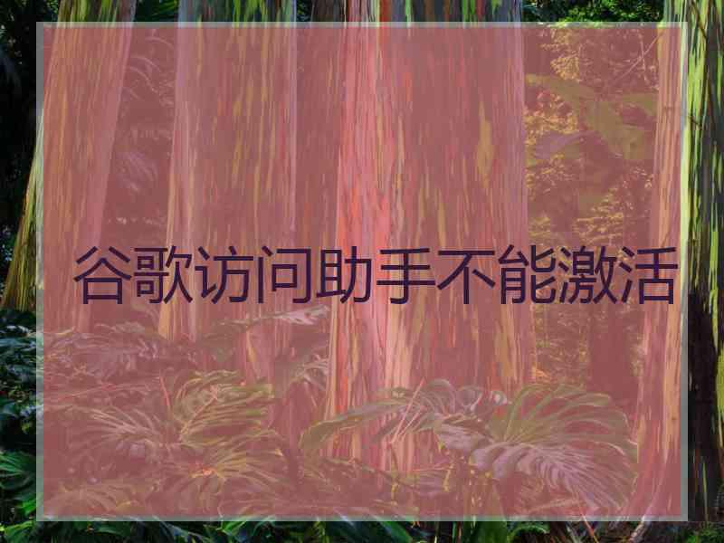 谷歌访问助手不能激活
