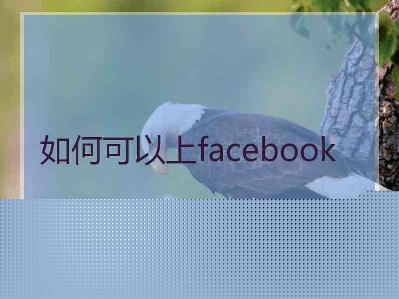 如何可以上facebook