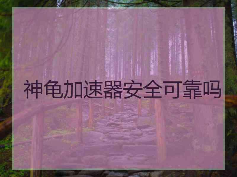 神龟加速器安全可靠吗