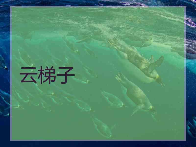云梯子