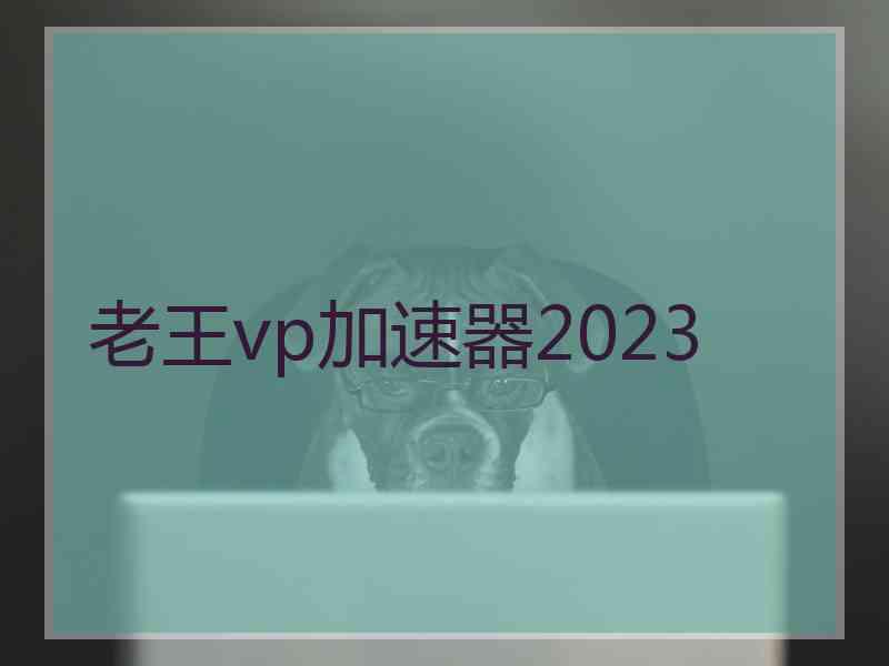 老王vp加速器2023